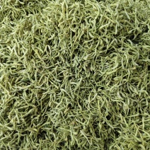 金银花新货无硫干金银花散装批发