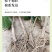 广西辣木苗2年精选老苗