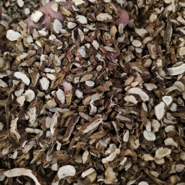 石菖蒲正品无硫石菖蒲切片