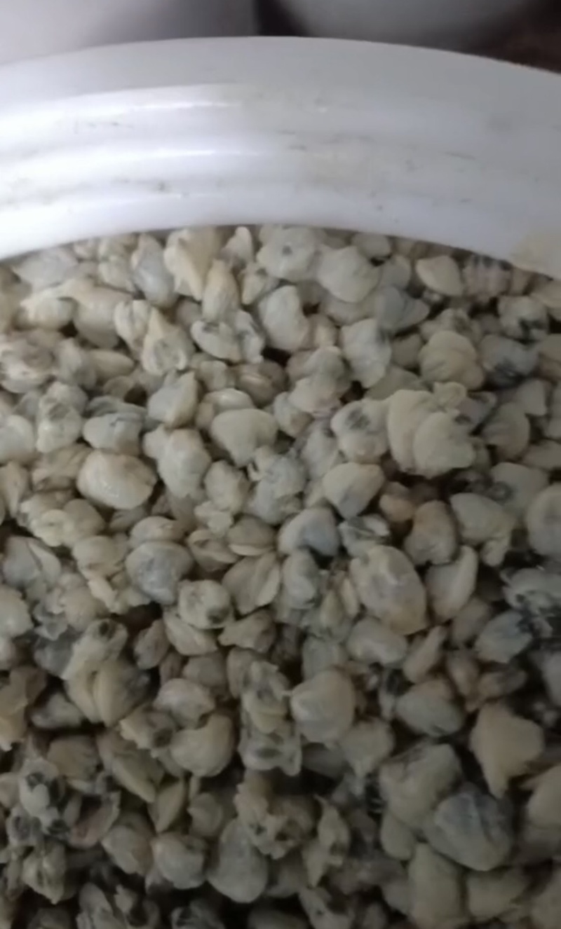 蚬肉，厂家直发，货源充足，量大从优，欢迎采购