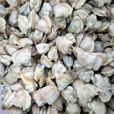 蚬肉，厂家直发，货源充足，量大从优，欢迎采购