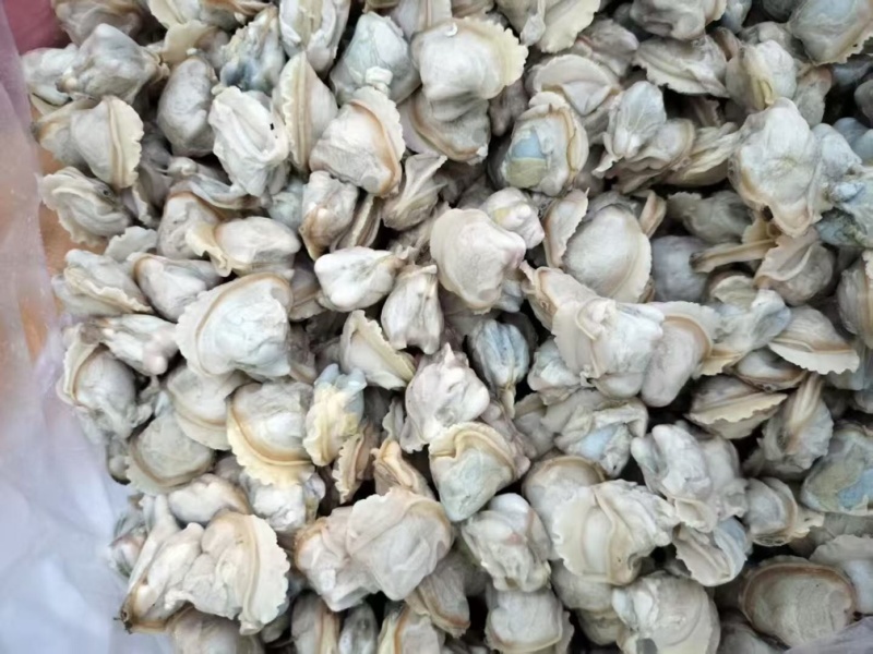 蚬肉，厂家直发，货源充足，量大从优，欢迎采购