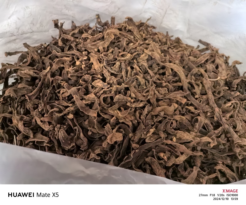 骨碎补净货
