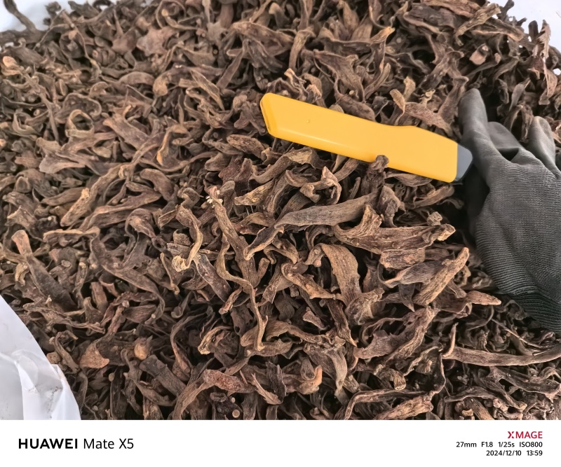 骨碎补净货