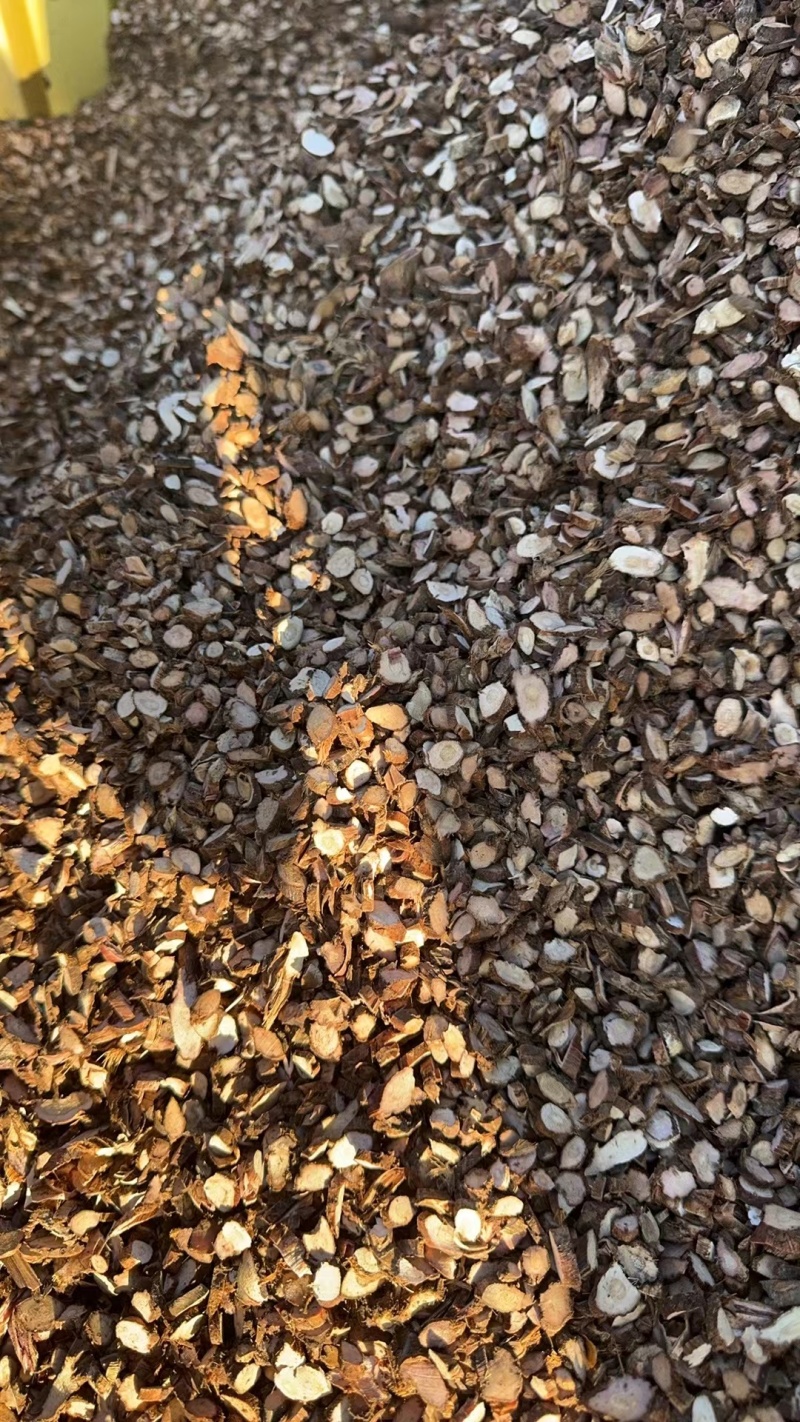 石菖蒲中草药石菖蒲菖蒲药农山沟水流自采自然晒干纯草药