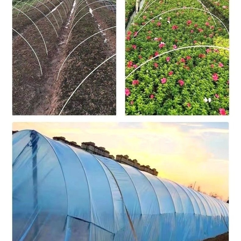 农用植物支撑杆拱棚支架豆角架杆黄瓜蔬菜花架家用玻璃纤