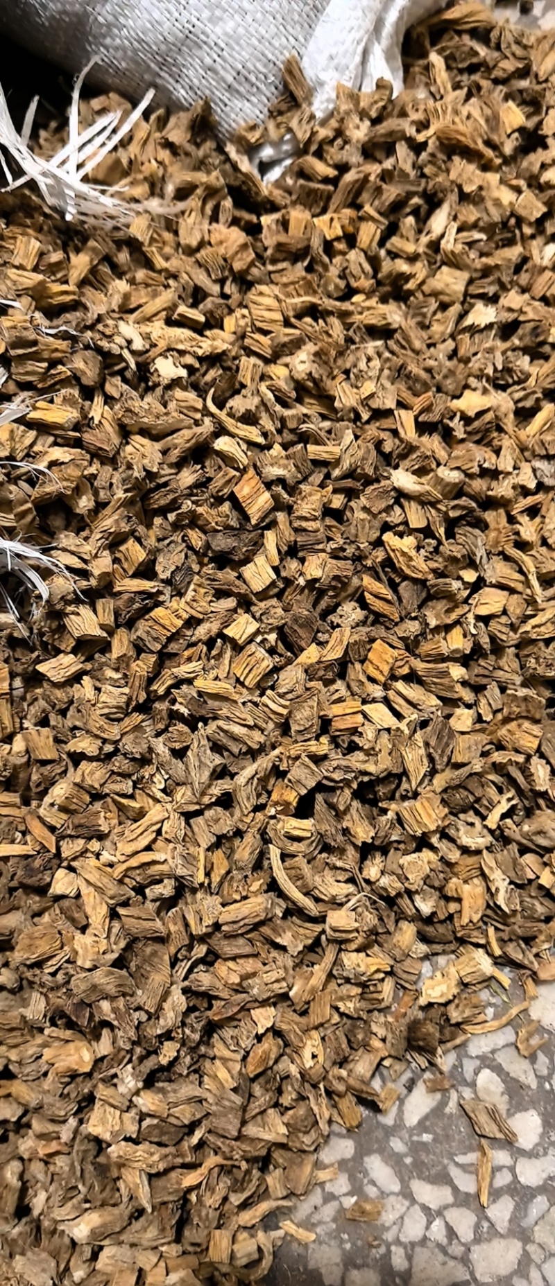 百部中药材正品新货百部草干天然百条根百条酊百步干货