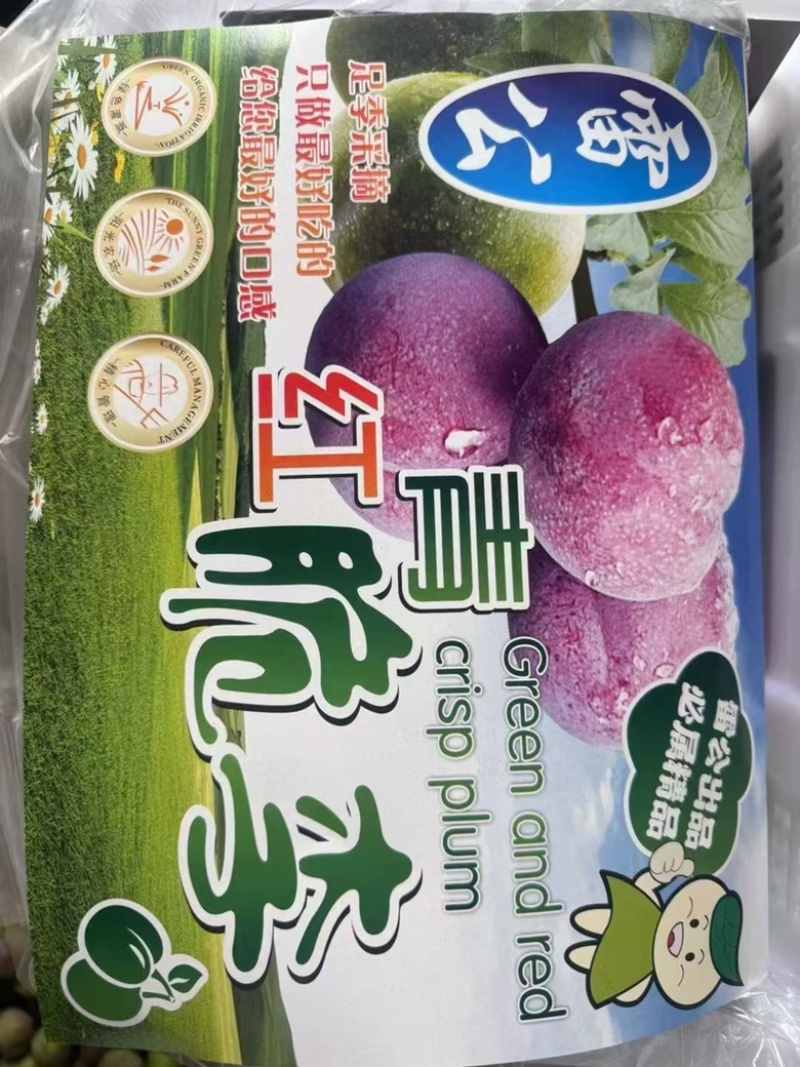 精品李子脆红李五月脆李基地直发货源充足量大从优