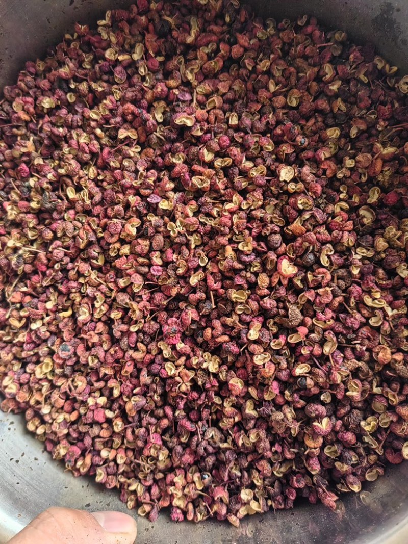 新货大红袍花椒/一手货源/香辣鲜美/基地直发品质优可看货