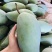 【实力】金煌芒广西产区直发价钱实惠保质保量供货