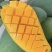 【实力】金煌芒广西产区直发价钱实惠保质保量供货