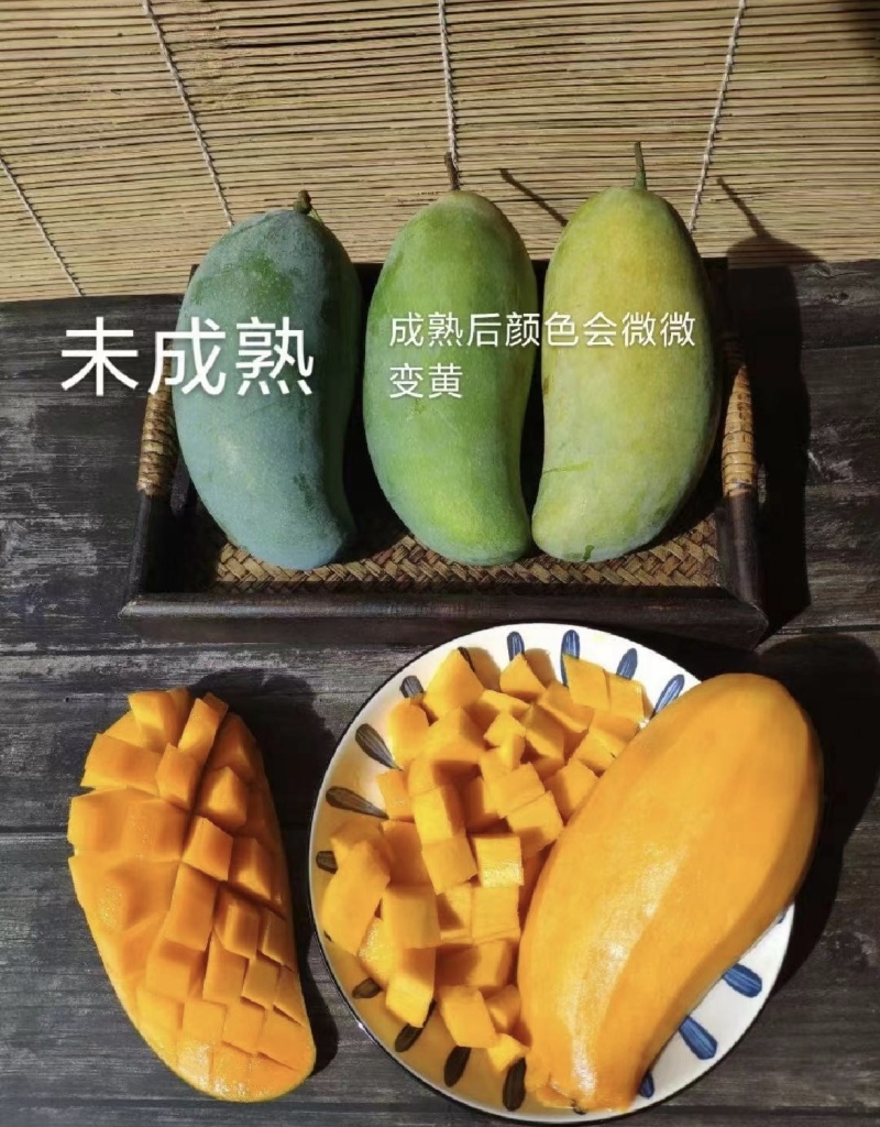 【实力】金煌芒广西产区直发价钱实惠保质保量供货
