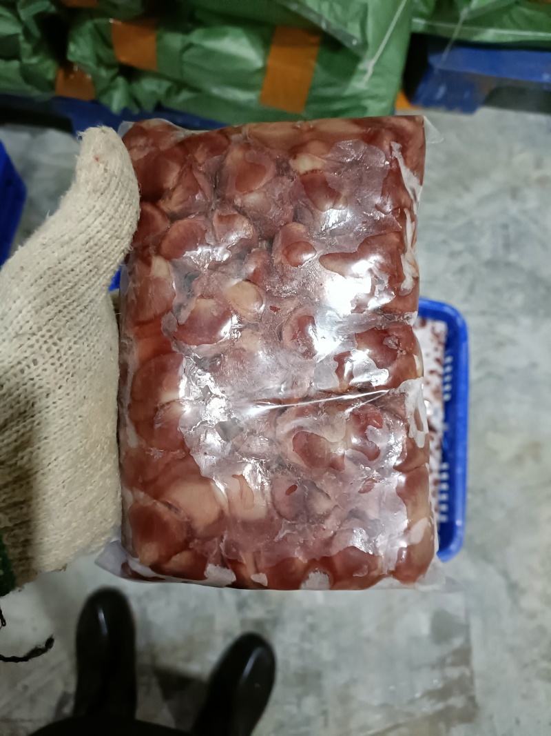 新鲜鸽肾鸽胗鸽子肾，酒店餐馆烧烤盐焗炒菜专用，欢迎选购