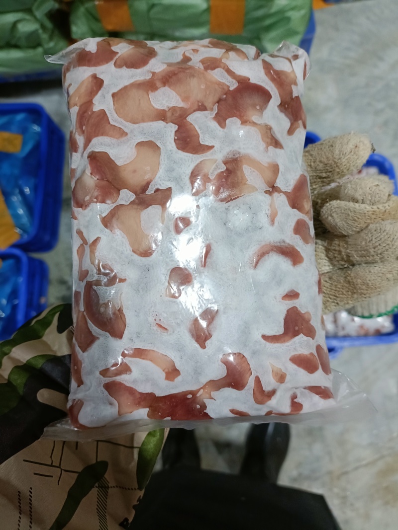 新鲜鸽肾鸽胗鸽子肾，酒店餐馆烧烤盐焗炒菜专用，欢迎选购