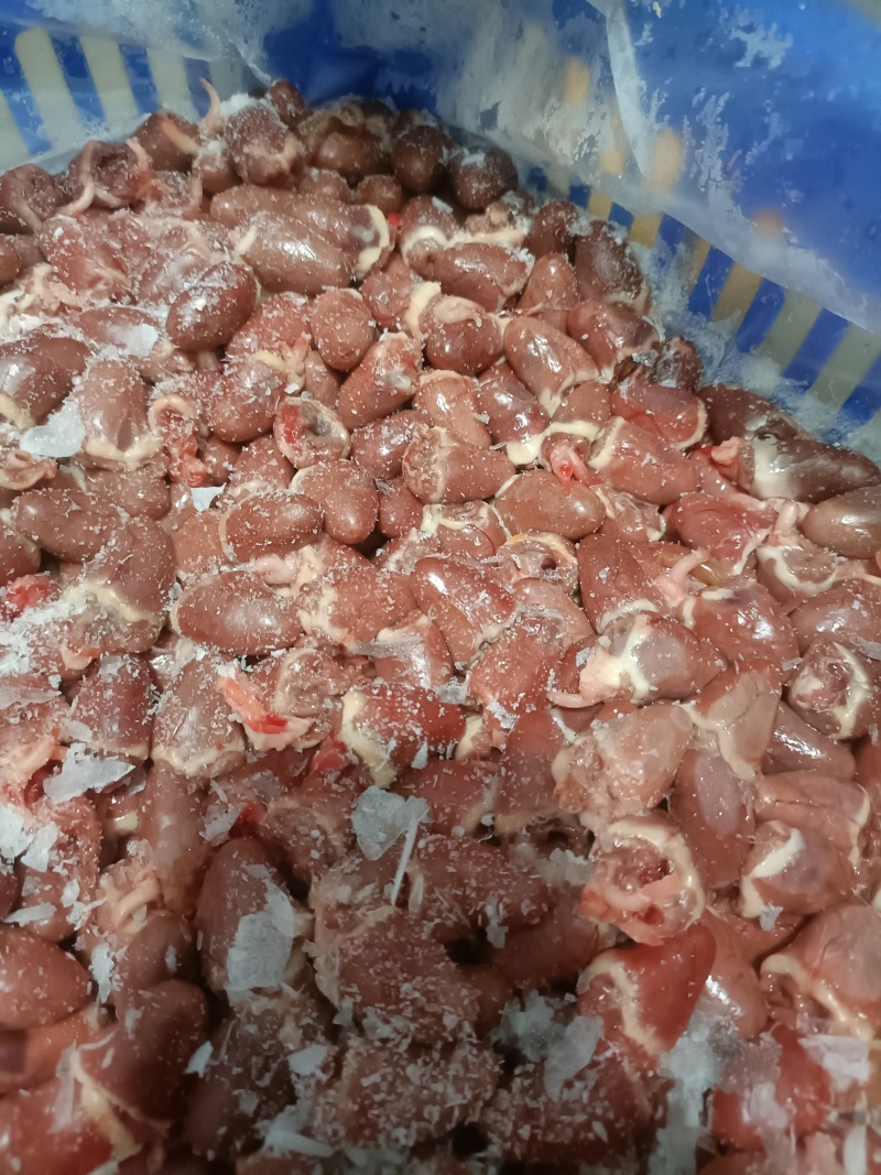 新鲜鸽心鸽子心，烧烤食材火锅串串爆炒专用，厂家直发