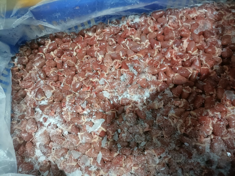 新鲜鸽心鸽子心，烧烤食材火锅串串爆炒专用，厂家直发
