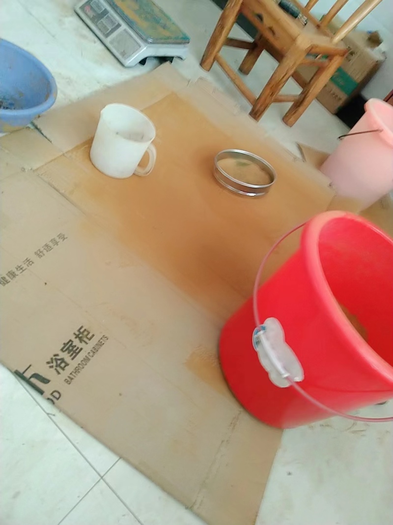 海金沙大量有货优质货源量大从优保质保量欢迎咨询