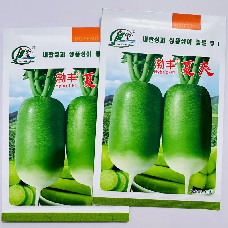 渤丰夏爽萝卜种子表皮光滑亮绿直筒圆润口感甜脆秋播杂交萝卜
