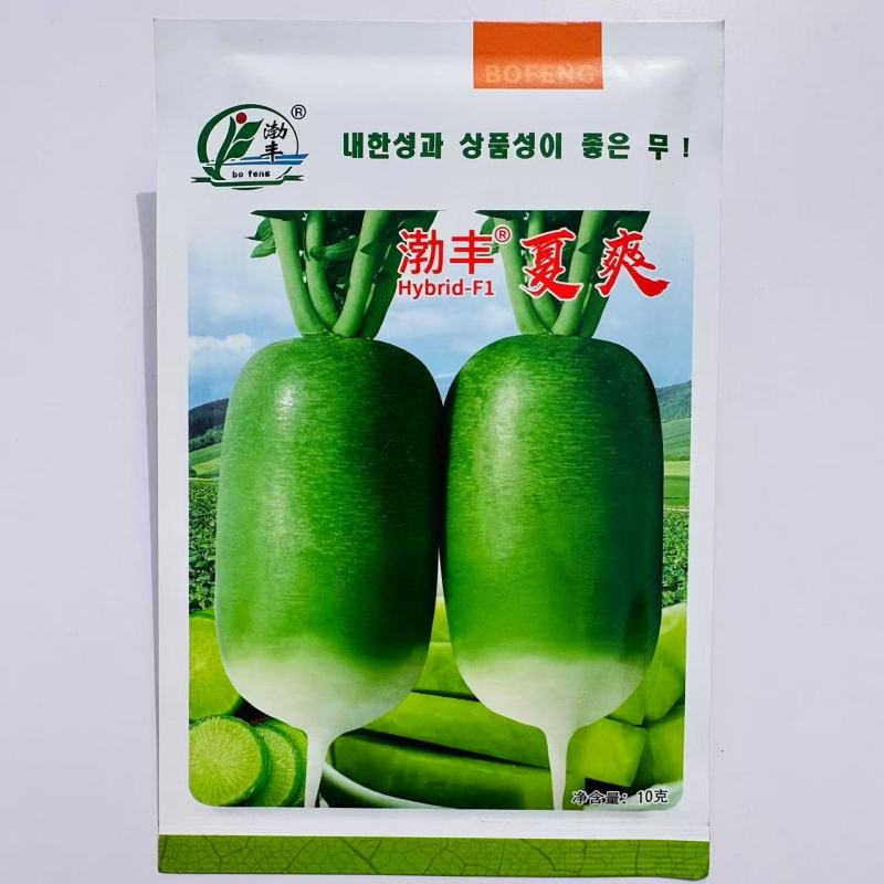 渤丰夏爽萝卜种子表皮光滑亮绿直筒圆润口感甜脆秋播杂交萝卜
