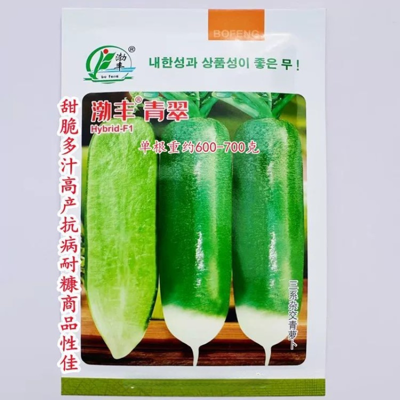渤丰青翠青萝卜种子三系杂长圆柱形萝卜种子口感脆甜秋播高产