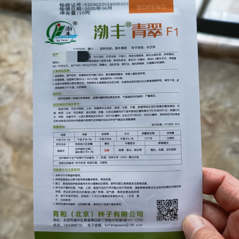 渤丰青翠青萝卜种子三系杂长圆柱形萝卜种子口感脆甜秋播高产