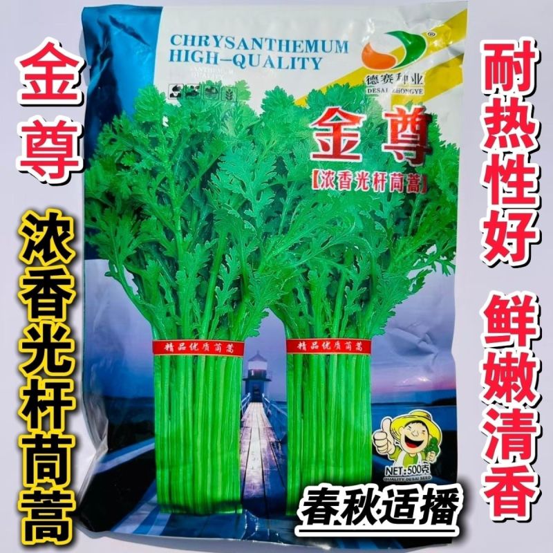 金尊浓香光杆茼蒿种子耐热耐寒蔬菜籽口感细嫩清脆皇帝菜春秋