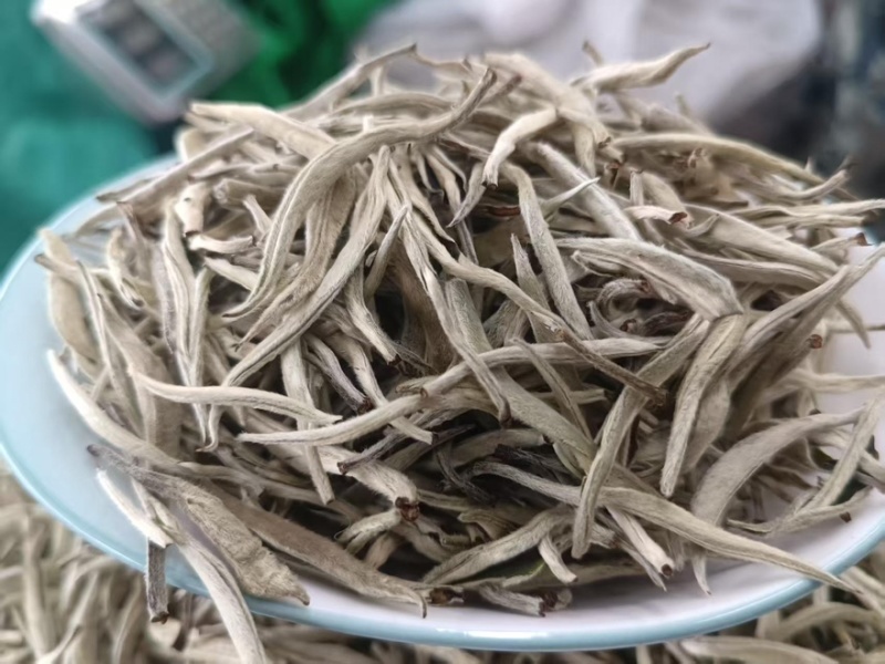 【每日推荐】云南普洱白毫银针量大从优产地直发品质保障