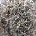 【每日推荐】云南普洱白毫银针量大从优产地直发品质保障