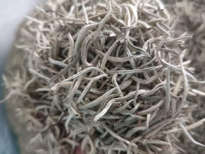 【每日推荐】云南普洱白毫银针量大从优产地直发品质保障