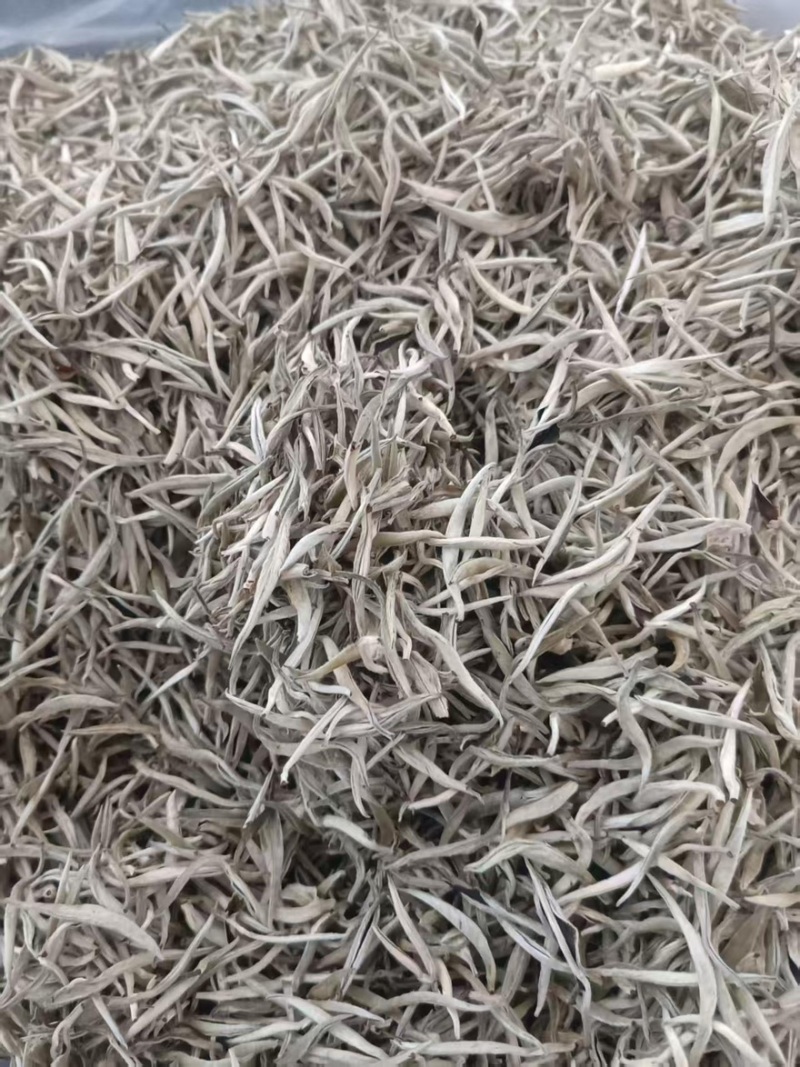 【每日推荐】云南普洱白毫银针量大从优产地直发品质保障