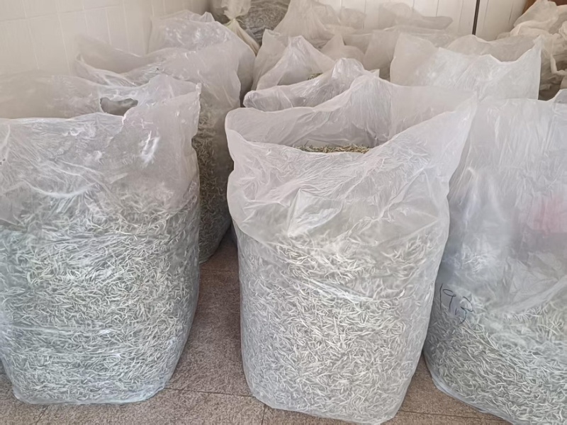 【每日推荐】云南普洱白毫银针量大从优产地直发品质保障