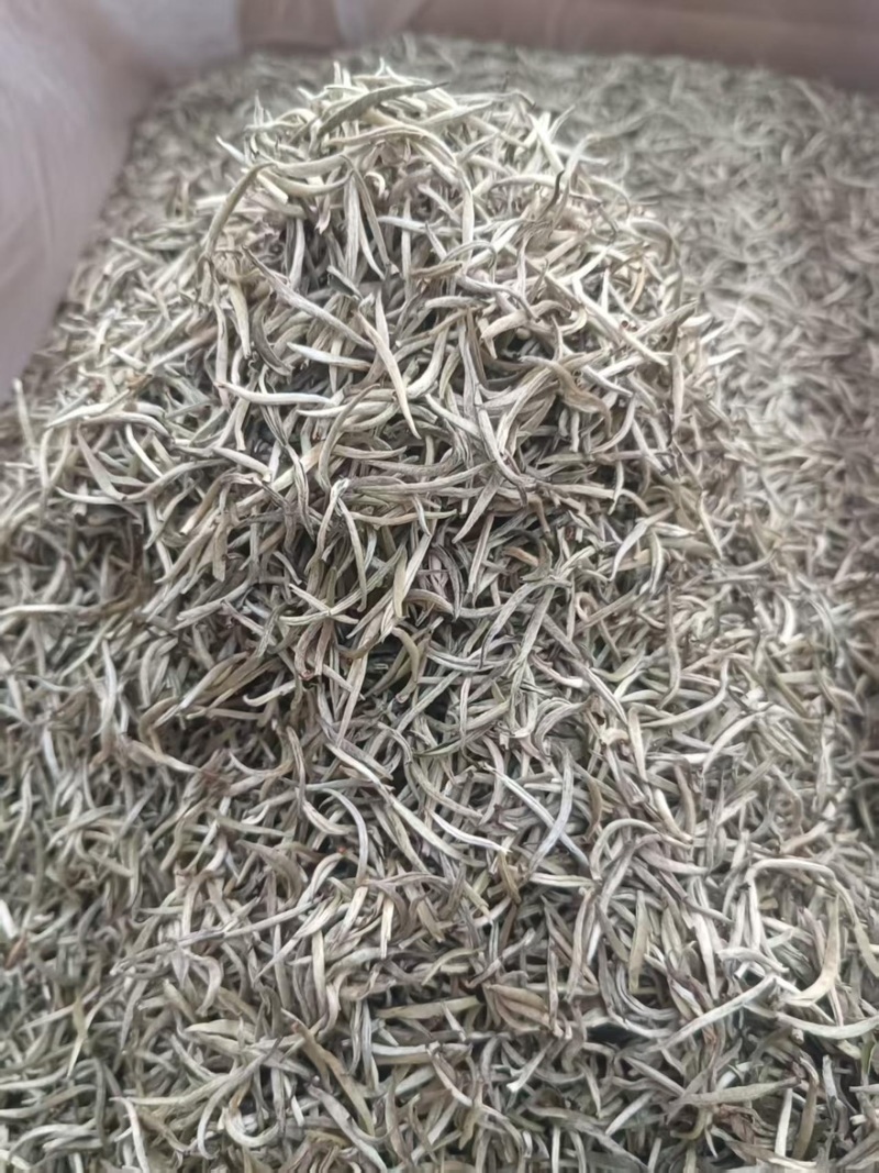 【每日推荐】云南普洱白毫银针量大从优产地直发品质保障