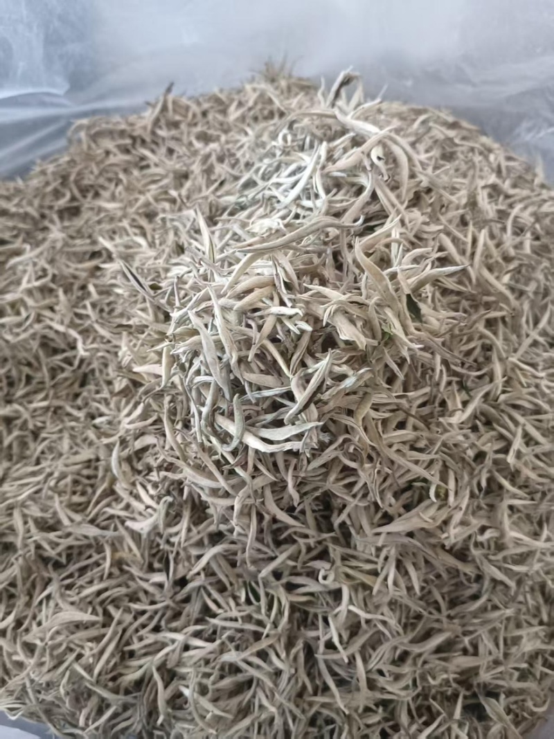 【每日推荐】云南普洱白毫银针量大从优产地直发品质保障