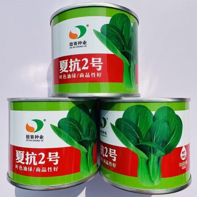 德赛夏抗2号耐热青梗菜种子耐高温耐雨水束腰抗病不易拔节夏