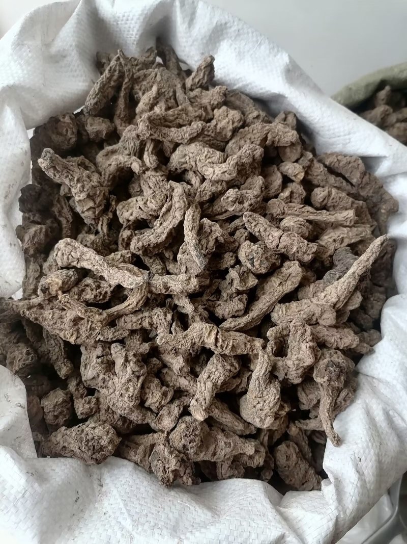 生地黄生地生地个子片子规格任选批发各种中药材