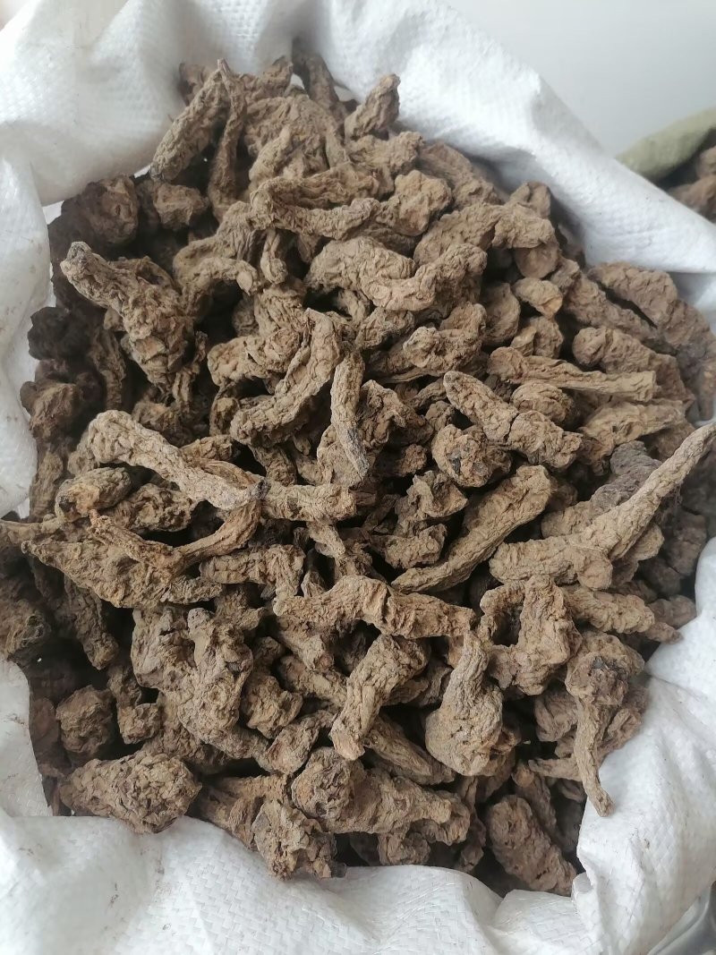 生地黄生地生地个子片子规格任选批发各种中药材