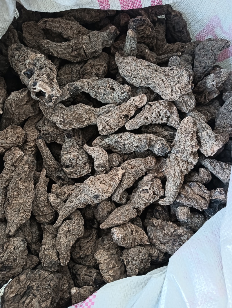 生地黄生地生地个子片子规格任选批发各种中药材