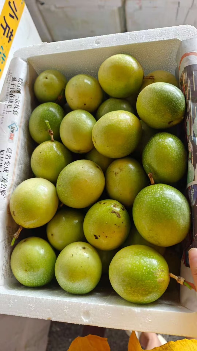 黄金百香果亲密9号纯甜无酸
