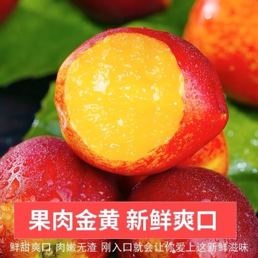 河南中油48油桃，曙光，产地大量上市，头茬对接市场，
