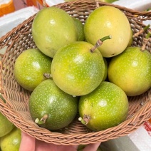 亲密9号黄金百香果