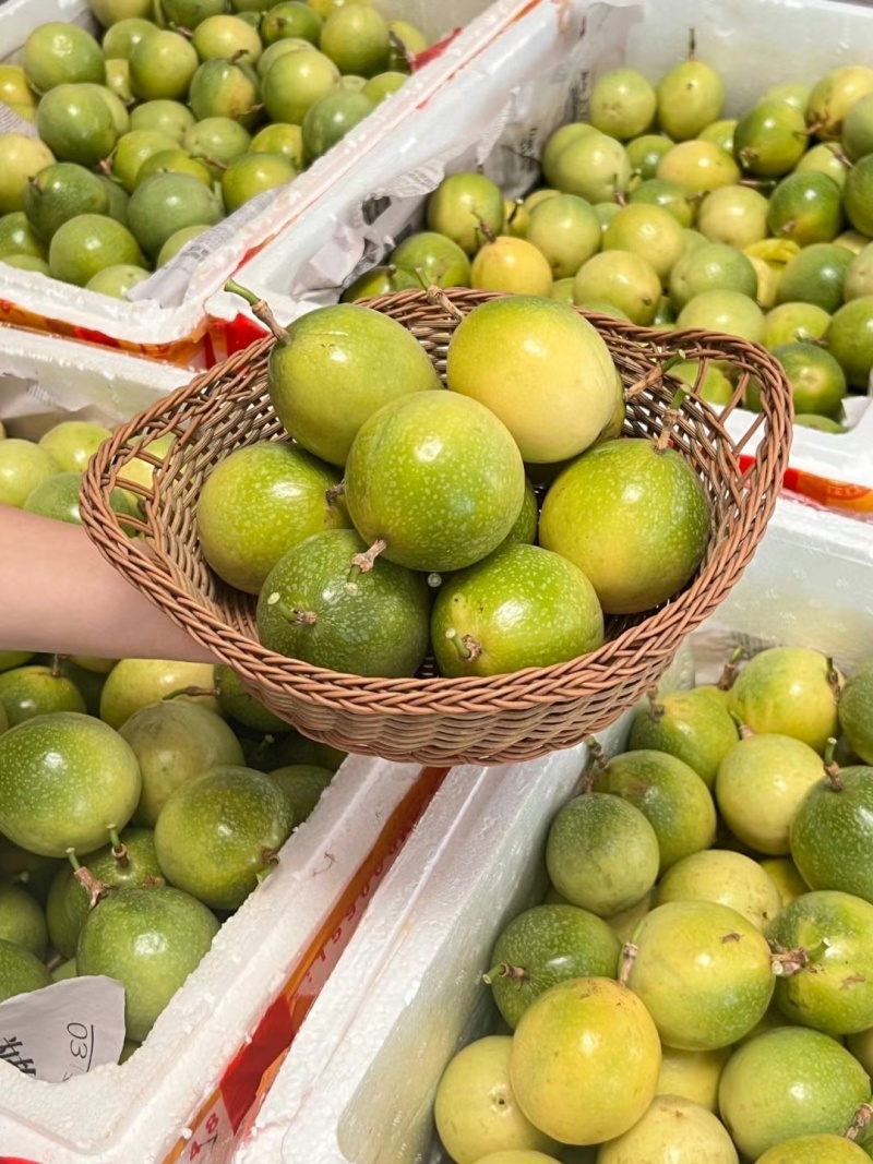 亲密9号黄金百香果