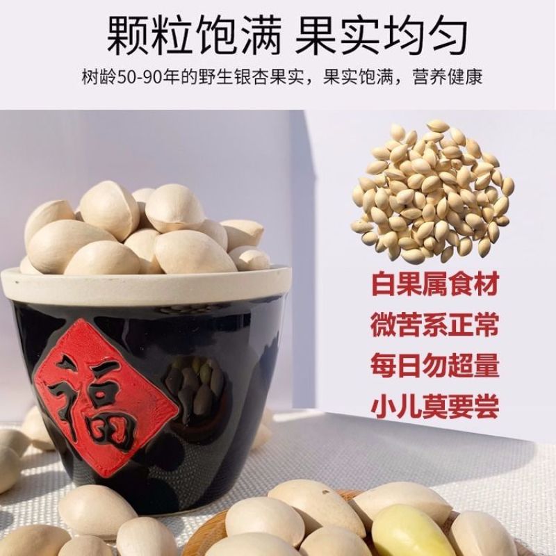 新鲜大白果新鲜生白果银杏果大佛指银杏白果子带壳优质白果子