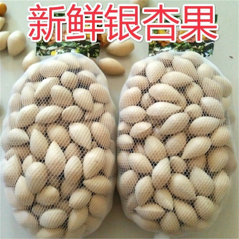 新鲜大白果新鲜生白果银杏果大佛指银杏白果子带壳优质白果子