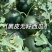 (黑皮西瓜)无籽西瓜/陕西慕田佳宝/产地货源/全国三包