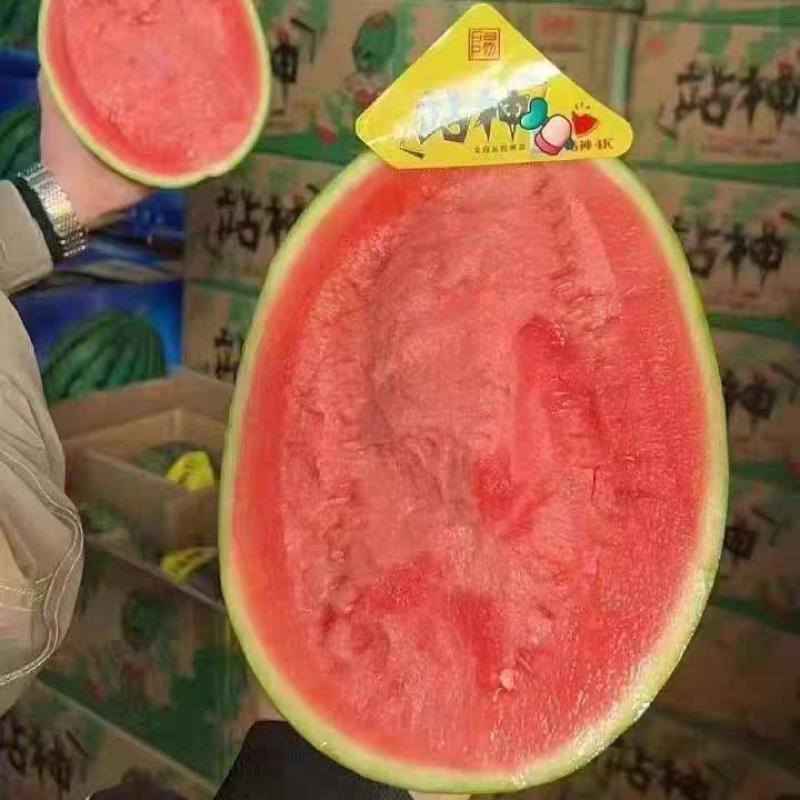 （甘美4K）热卖推荐/陕西西瓜，产地货源，全国三包供应