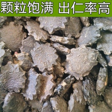 中药材木鳖子
