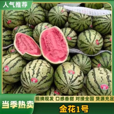 《金花6号》宁夏石头西瓜/产地货源/质量三包