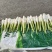 茭白笋全国发货价格不高量大议价欢迎电话联系