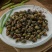 鲜活嗦螺小田螺约500g