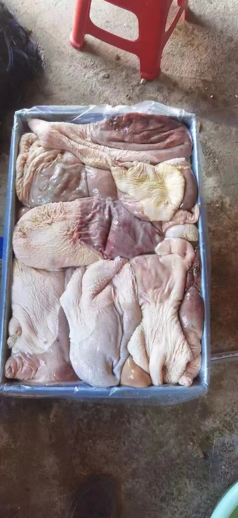 驴肚